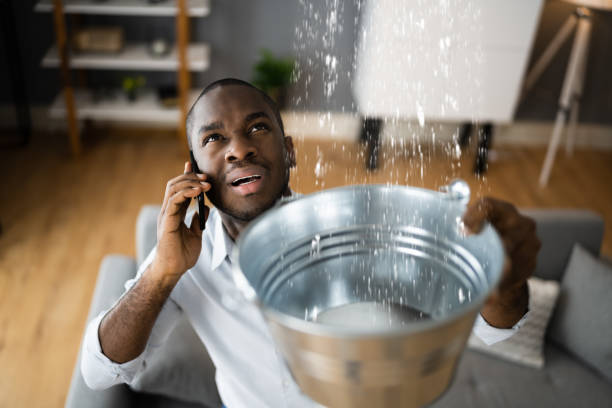 Best Water damage contractors near me  in Mount Washington, KY