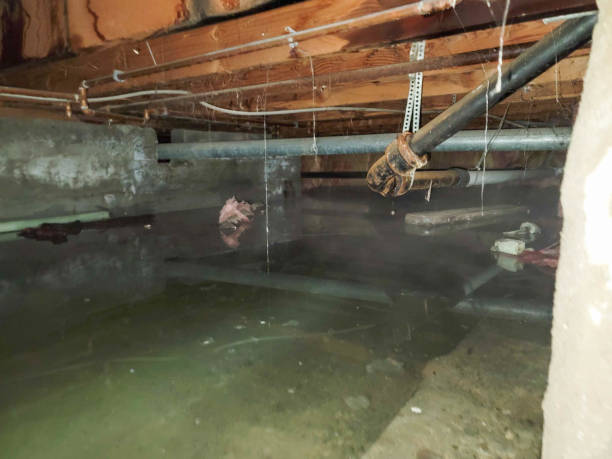 Best 24/7 water damage repair  in Mount Washington, KY