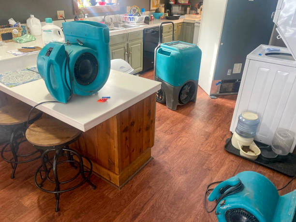 Best Local water damage restoration  in Mount Washington, KY